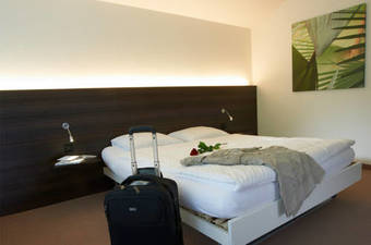 Hotel Frohsinn