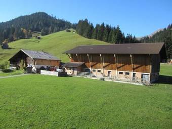 Bed & Breakfast Bauernhotel G�sslihof