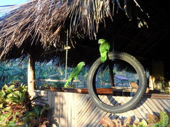 Bed & Breakfast Finca Montania Sagrada