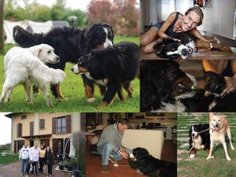 Agroturismo B&B Torricella