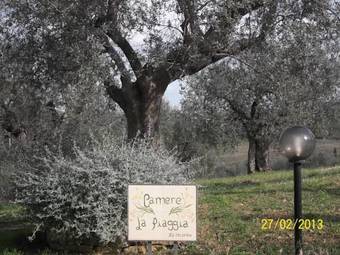 B&B La Piaggia