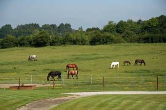 B&B Ferme Ch�teau De Laneffe