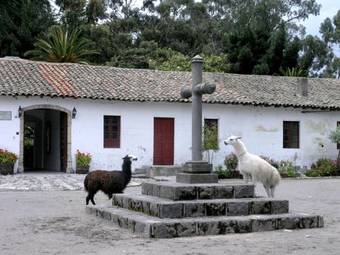 Ver fotos