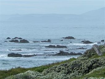 Posada Sea Otter Inn