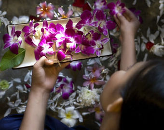 Hotel Double Pool Villas By Banyan Tree