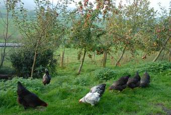 Agroturismo T's B And Bs