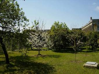 B&B Antico Aranceto