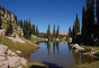 Elkwood Manor Luxury Bed & Breakfast