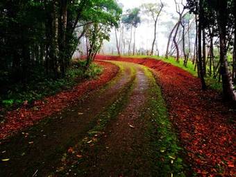 Hotel Banana Bay Marina