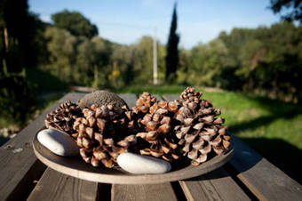 Agroturismo Casa Dell'orto Bioagriturismo