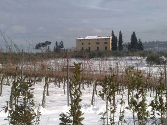 Agroturismo La Capannaccia