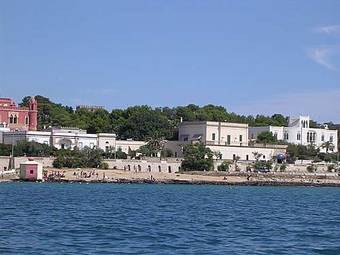 La Baronessa