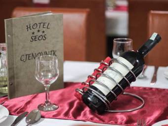Hotel Seos