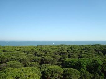 Hotel Mare E Pineta