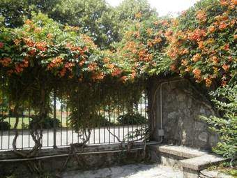 Hotel Albergo Villa & Roma