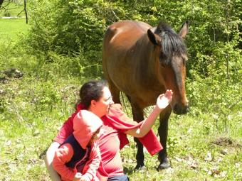 Villa Farmhouse Rosehip Romania Brasov