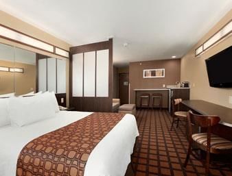 Hotel Microtel Inn & Suites By Wyndham Kalamazoo