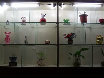 Ver fotos