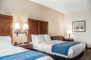 Hotel Comfort Inn & Suites
