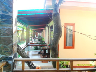 Ver fotos