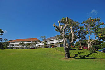 Hotel Castle Kiahuna Plant(1br Gv)