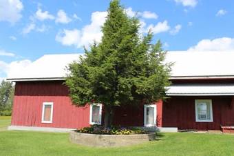 Northern Family Motel