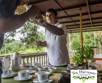 Hotel Tea Harvester