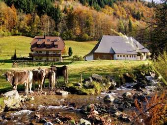 Apartamento Gasthaus Zur Linde-napf