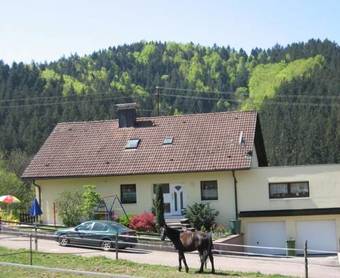 Apartamento Ferienwohnung D�rflinger