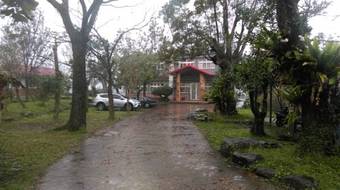 Ver fotos