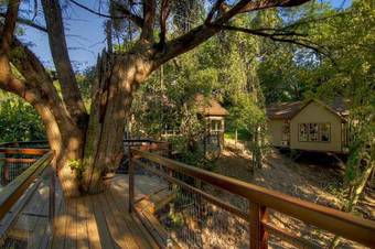 Mourning Dove Haus