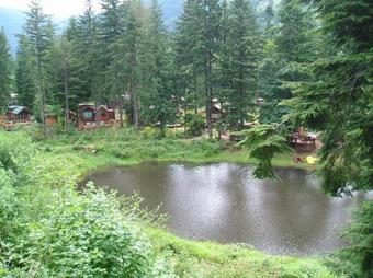 Mount Hood Village Deluxe Cabin 7