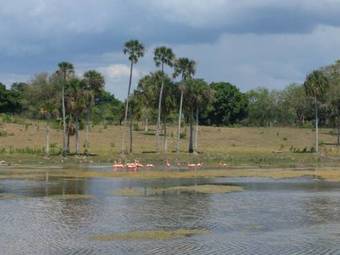 Caba�as El Cuyo