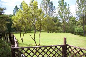Pine Valley