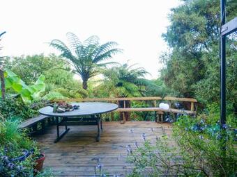 Forest Edge