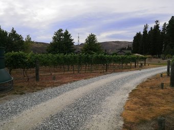 Bed & Breakfast Vines On Bannockburn
