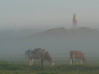 Duin/vuurtorenzicht
