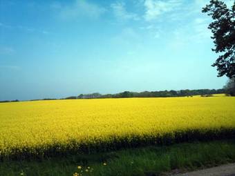 Apartamento Haus Ostseeblick