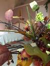 Bed & Breakfast La Grotta Del Re