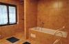 Three-bedroom Holiday Home In Josefuv Dul