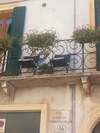 Bed & Breakfast Veronetta House