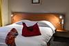 In Situ Hotel Le Chat Botte