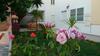 Vakakis-me Apartments