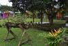 Hotel Yalconia