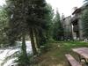 Cross Creek 207