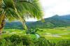 Apartamento Waipouli Beach Condo H403