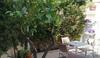 Hostal Marm� Affittacamere