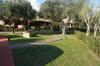 Apartamento Appartamento Degli Ulivi
