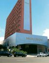 Hotel Swan Molinos Business