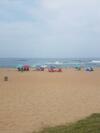 Beach Frond Apartment